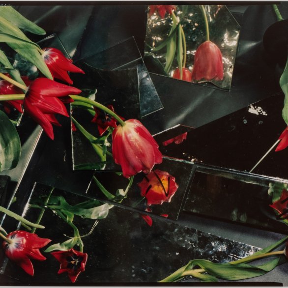 Ketuta Alexi-Meskhishvili, Tulip Season for Henri, 2024, Analog C-print, 32 × 41.4 cm