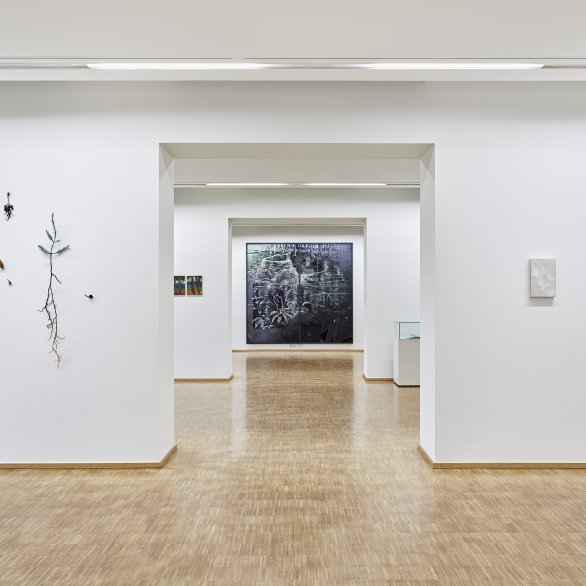 Ausstellungsansicht O(H) WALD 2024 © Bernhard Strauss