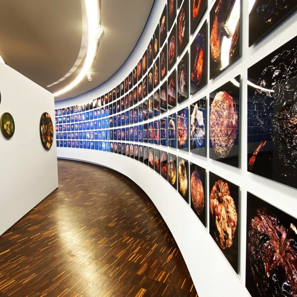 Achim Großmann, Silvia Eisele, ArsCubis, Metamorphosis, Museum LA8