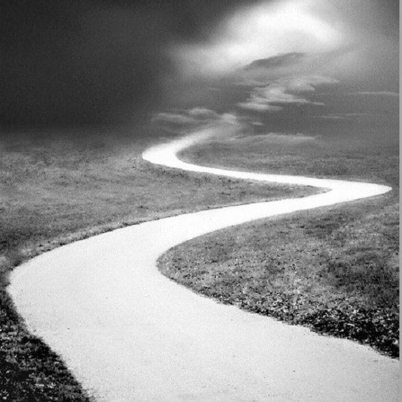 der alternde Wolf   heult an der bernauer Alb  heute ist Vollmond (C) Bjarne Geiges