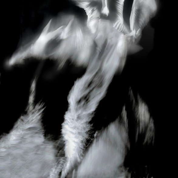 scheinbar anscheinend (c) Bjarne Geiges