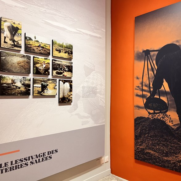 Exposition Histoire de sel