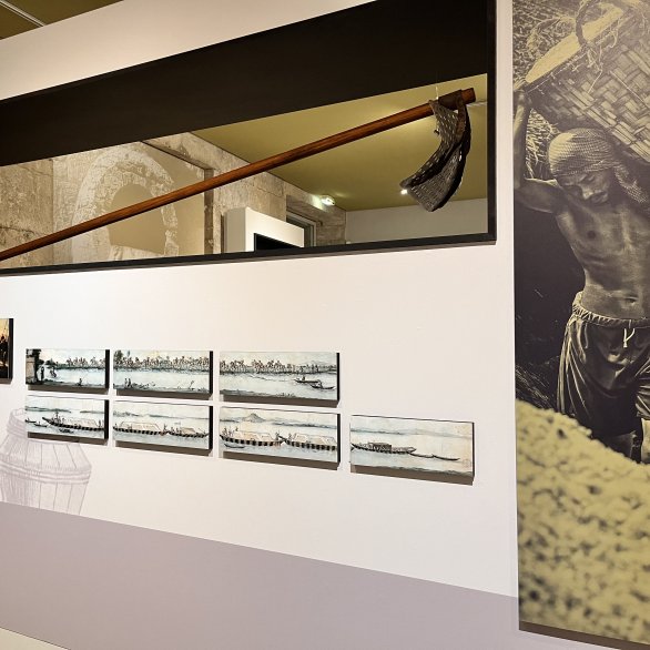 Exposition Histoire de sel