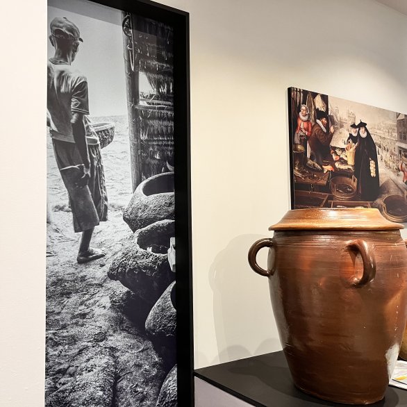 Exposition Histoire de sel