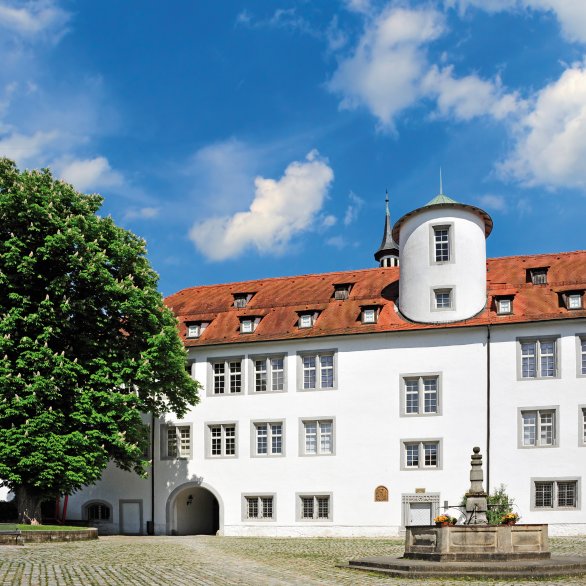 Schlossansicht des Museums der Alltagskultur mit Brunnen und Kastanie