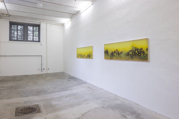 Ausstellungsansicht der Künstlerin Natacha Donzé im ehemaligen grossen Keller der Langmatt.