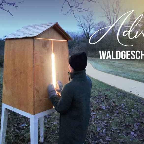 Adventsweg "Waldgeschichten" 2026