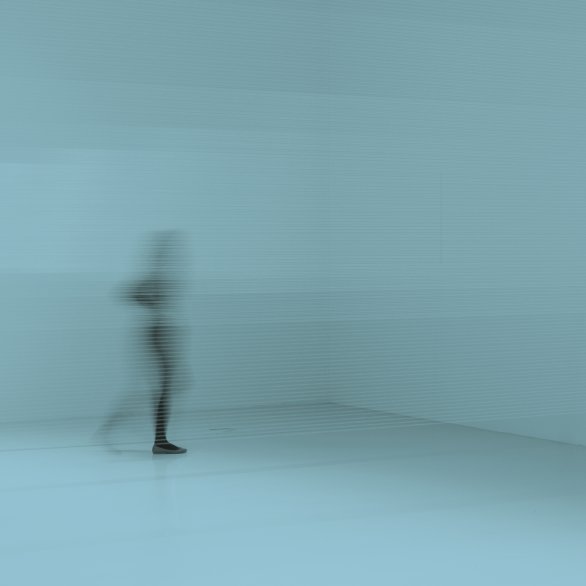 Susanna Fritscher, Capture / The Eyes, 2014. Collection Frac Franche-Comté Vue de l’exposition Susanna Fritscher, Promenade Blanche / Weisse Reise au Frac Franche-Comté, 2014 © Susanna Fritscher. Photo : Laurent Tessier.