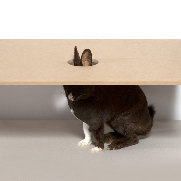 Sigurdur Arni Sigurdsson, Diplomatie, 1996. Collection Frac Franche-Comté © Sigurdur Arni Sigurdsson