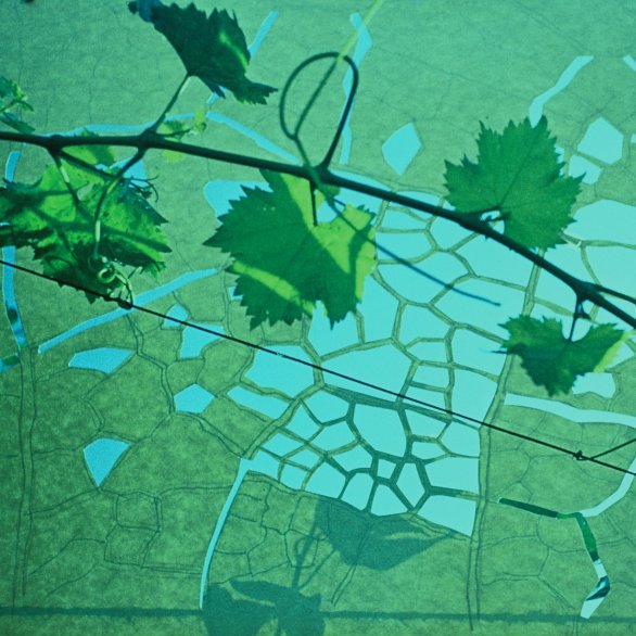 Stefan Bertalan, Diapositiv, Sammlung Lecca, München