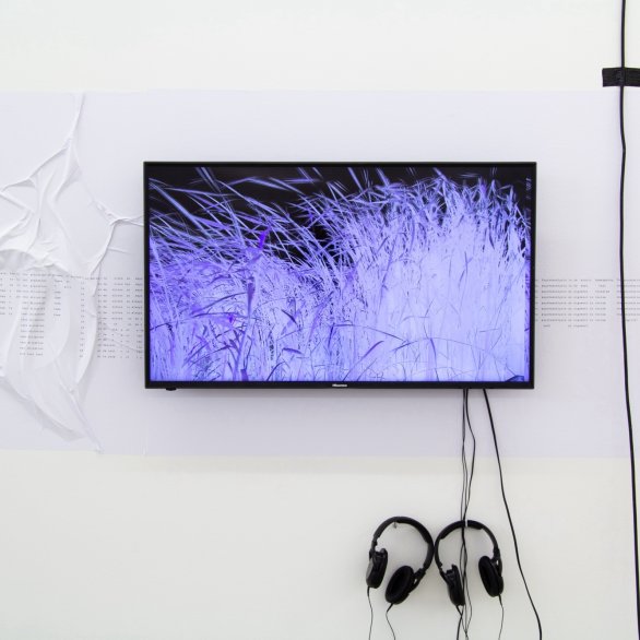 Anna Barham: Out of the gravel, IAC Villeurbanne, FR, 2022. Photo: Anna Barham Courtesy: The artist and Arcade, London