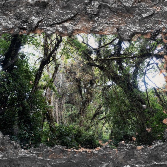 Die Sprache der Pflanzen, Experimentelles Rollenspiel (LARP) mit Roman Schramm Die Sprache der Pflanzen, Experimentelles Rollenspiel (LARP) mit Roman Schramm