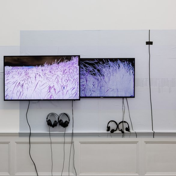 Ausstellungsansicht, Anna Barham: delirious mantra, Badischer Kunstverein, Karlsruhe 2026, Foto: Felix Grünschloß