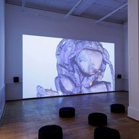 Ausstellungsansicht, Anna Barham: delirious mantra, Badischer Kunstverein, Karlsruhe 2026, Foto: Felix Grünschloß