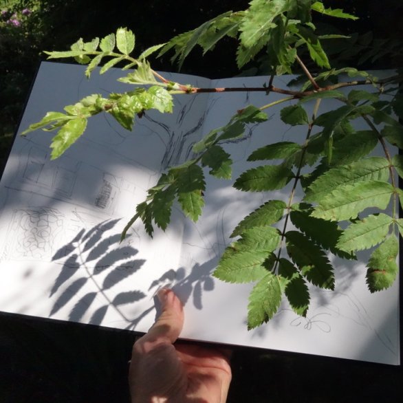 Begegnung mit Pflanzen und Bildern für einen Tag, Workshop mit Tobias Kraft Begegnung mit Pflanzen und Bildern für einen Tag, Workshop mit Tobias Kraft