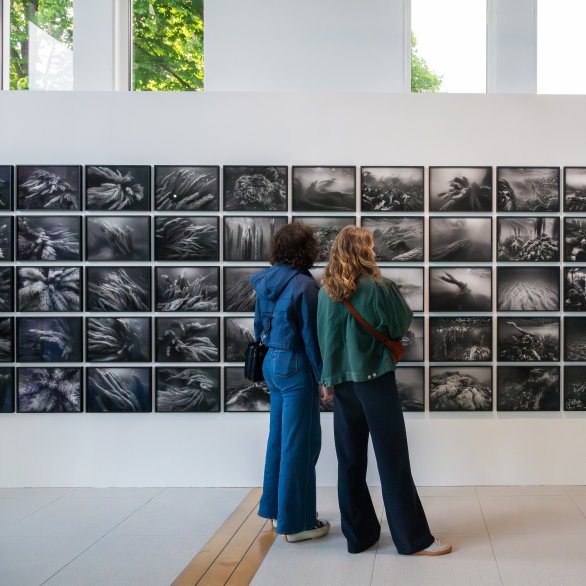 Nicolas Floc'h, Structure productive, Kikaijima, Japon, 2017 Photographie I Production Fondation Tara Océan - Tara Pacific I © ADAGP, Paris, 2026