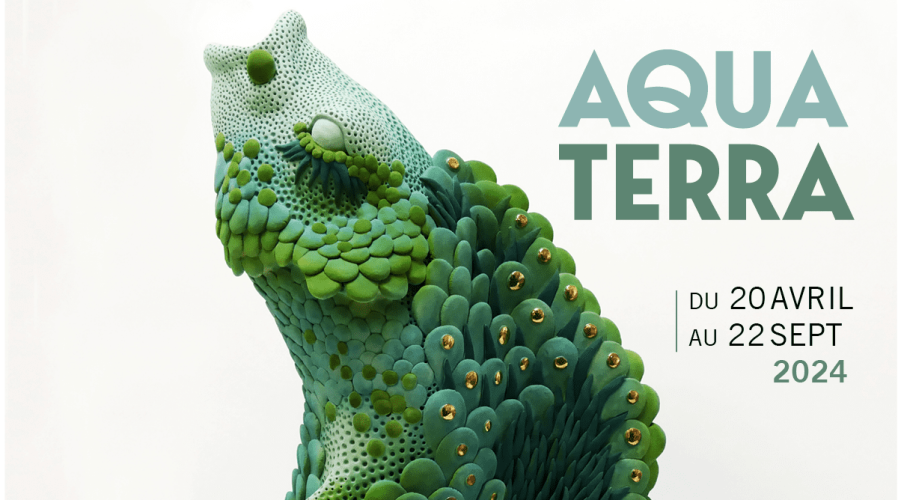Poster der Ausstellung Aqua Terra