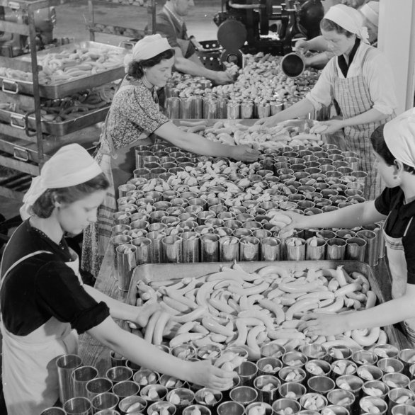 Arbeiterinnen und Arbeiter der Bell AG verpacken Würste in Konservendosen, 1939. Foto: Lothar Jeck. Staatsarchiv Basel-Stadt, BSL 1060c 3/3/405