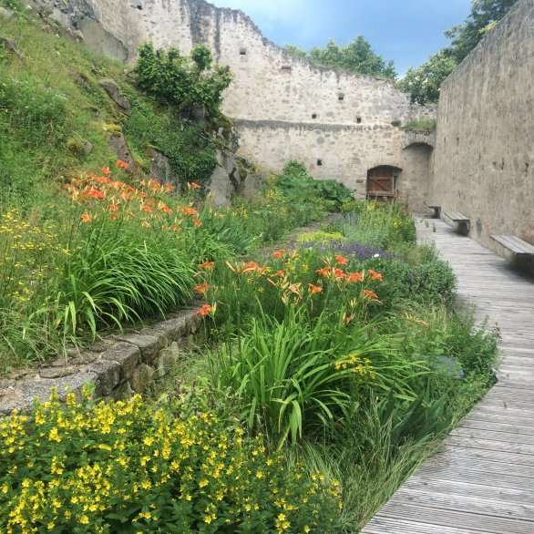 Jardins du château du Hohlandsbourg