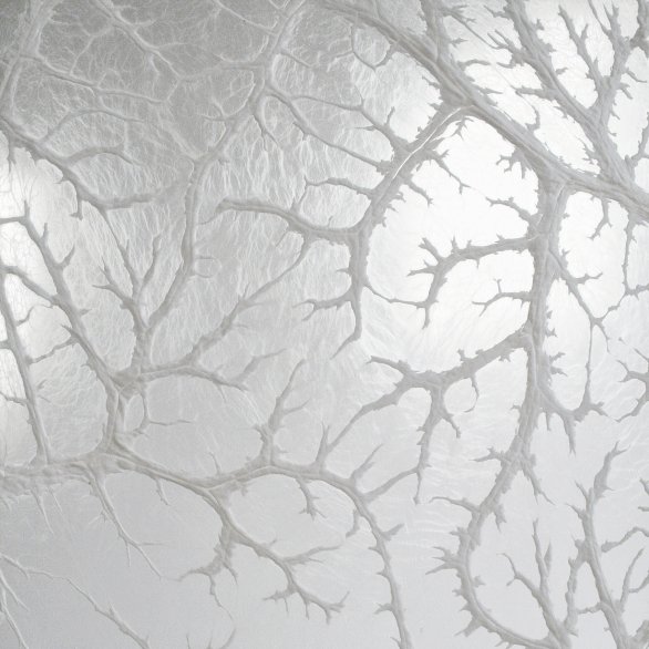 Léa Barbazanges, Omentum (détail),  2007-2026