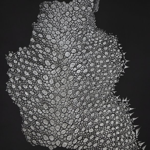 Léa Barbazanges, Mue (détail), 2026