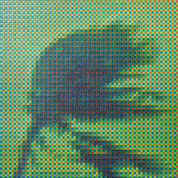 Werk der Künstlergruppe TROIKA, auf dem Bild ist eine Palme im Sturm zu sehen