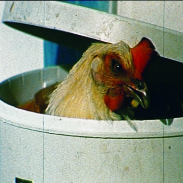 Videostill Pia Maria Martin