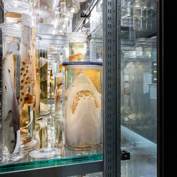 Einblick in die Ausstellung