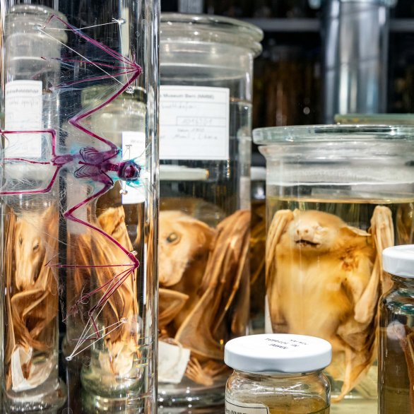 Einblick in die Ausstellung