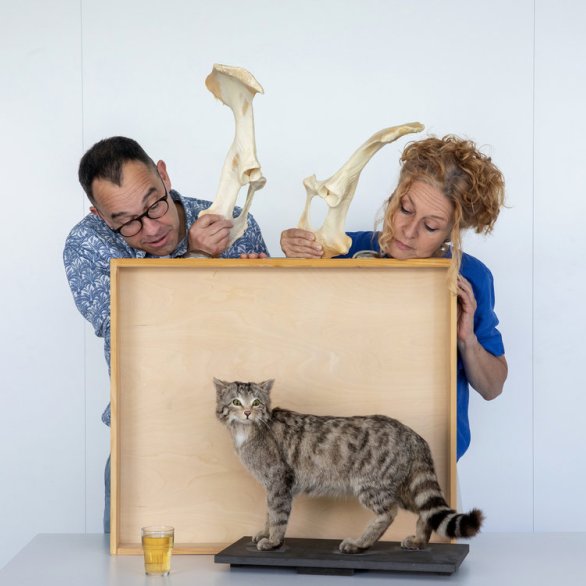 NMBE B&V Wissensaft 1871