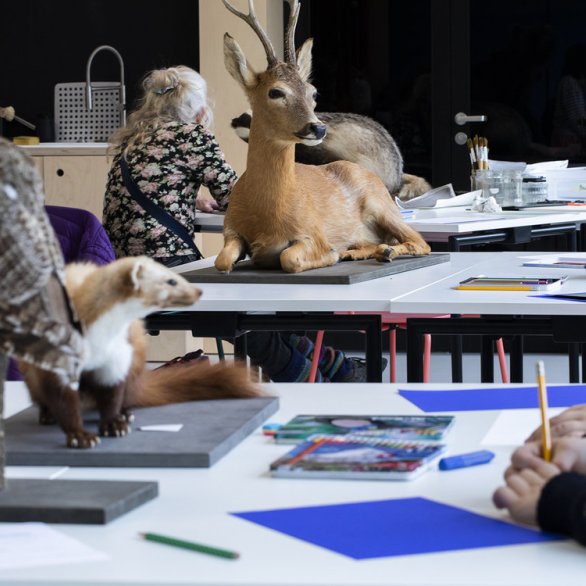 Tierzeichnen am Abend