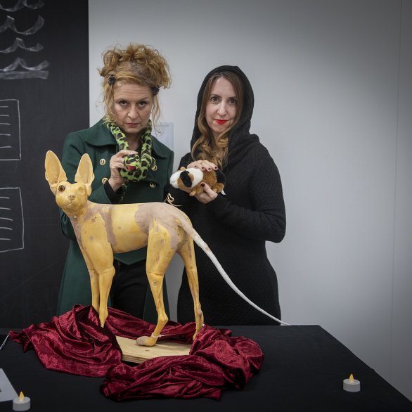 NMBE Halloween im Museum 5382