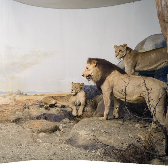 LoewenDiorama2