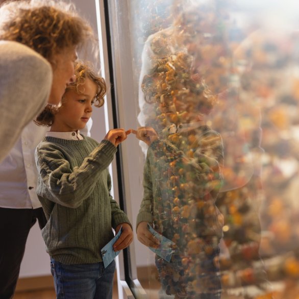 Eine erwachsene Person und ein Kind betrachten eine grosse Vitrine mit massenhaft Spielfiguren