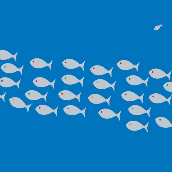 Symbolbild Rahmenprogramm Silber-Schwarm