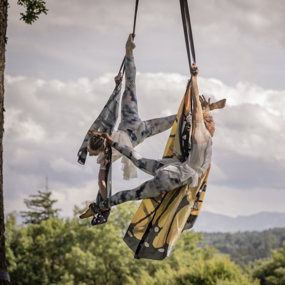 Zwei Personen tanzen an einem Baum und hängen sich elegant und akrobatisch an Tüchern fest.