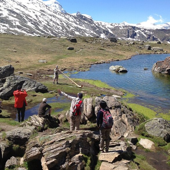 Alphorn am Stellisee