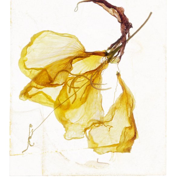 Brigitte Lustenberger I can hear the deep rasp of your laughter, 2023 Archival pigment print © Brigitte Lustenberger / 2026, ProLitteris, Zurich