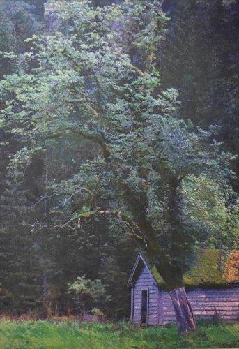 Farbiger Holzschnitt einer Hütte unter einem Baum