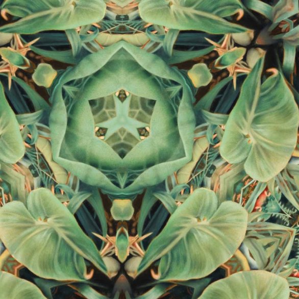 Kaleidoskop-Ansicht des Bildes Bromelia