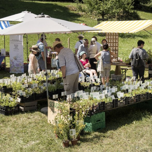 Heilkräutertage mit Führungen