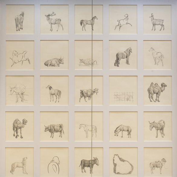 Blick in die Ausstellung „Drawing ‚Exposure‘“ © GDKE Landesmuseum Mainz, Foto: A. Garth