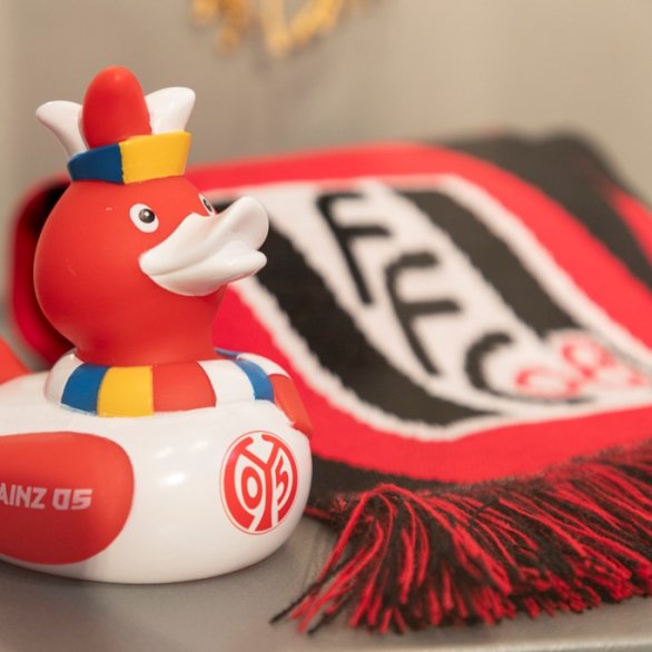 Fußballfieber, Fan-Objekte, Foto GDKE, E. Fischer