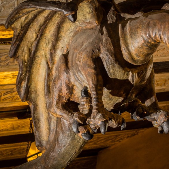 Medieval and Fantasy - Thematic tour ©Daniel Lambert