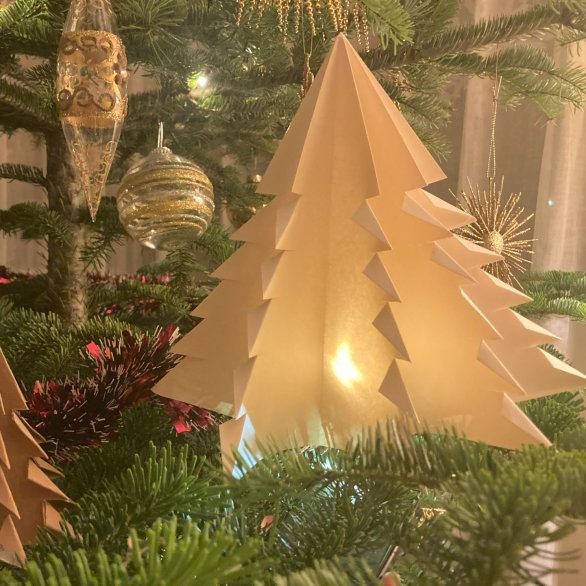 Atelier de Noël : Créez votre forêt de sapins en origami (Adulte)