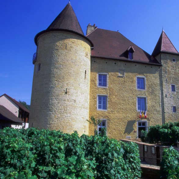 Le Musée de la vigne et du vin du Jura est installé dans le Château Pécauld