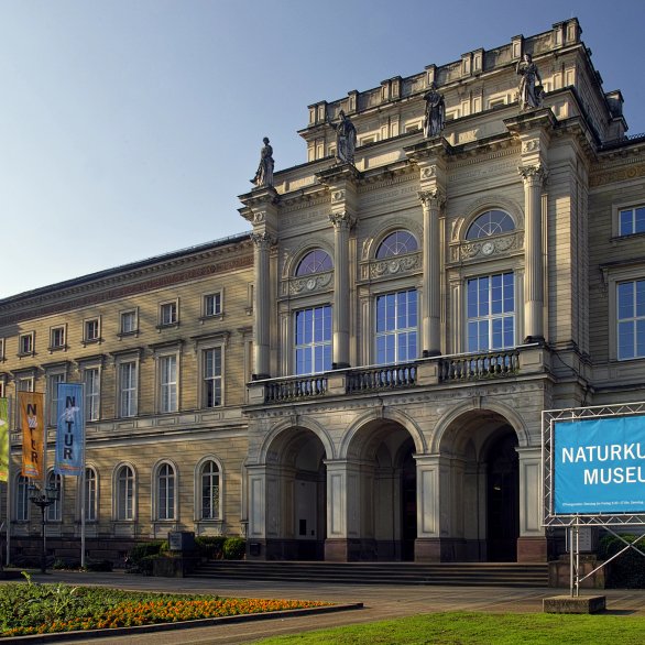 Naturkundemuseum Karlsruhe Naturkundemuseum Karlsruhe