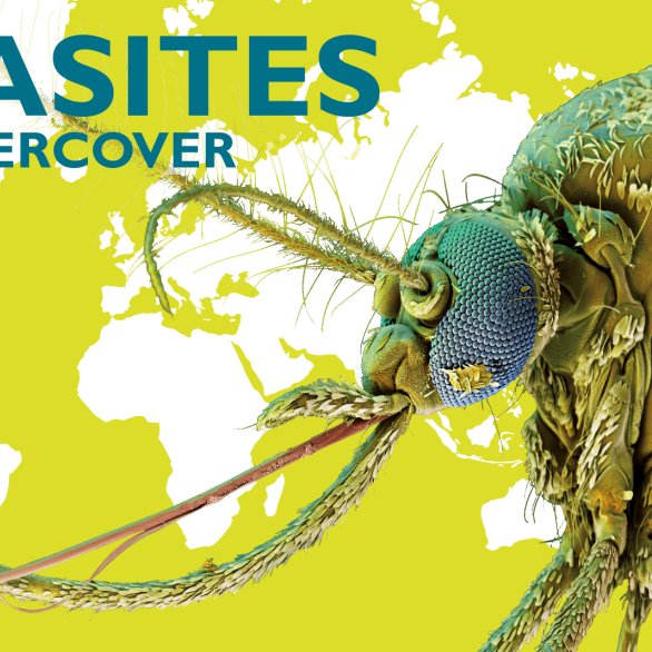 Parasiten