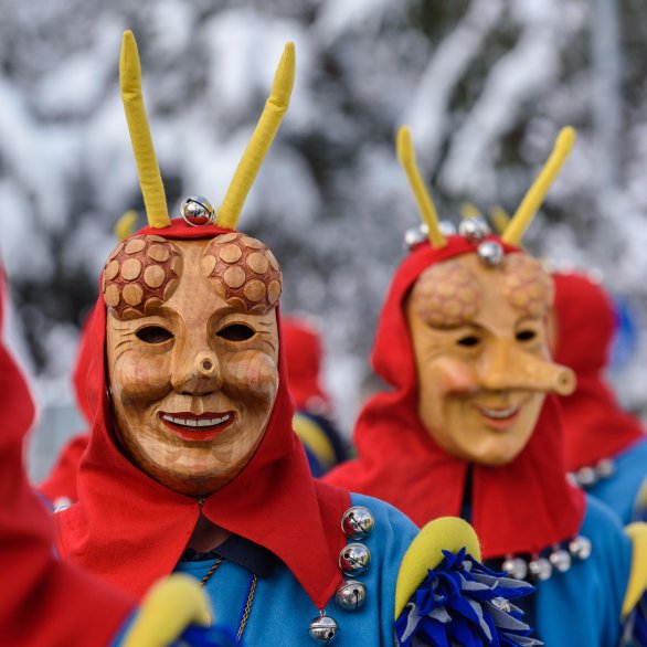 Die Rhiischnooge beim winterlichen Umzug