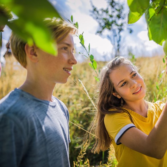 Tag der offenen Tür